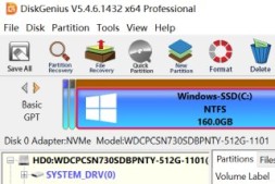 DiskGenius 5.4.6简体中文绿色版