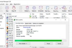 Internet Download Manager (IDM) 下载神器